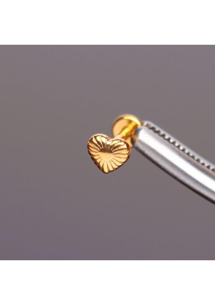 Yüksek Kalite G23 Titanium Kalp Altın Titanyum 7x1.2mm Labret Piercing