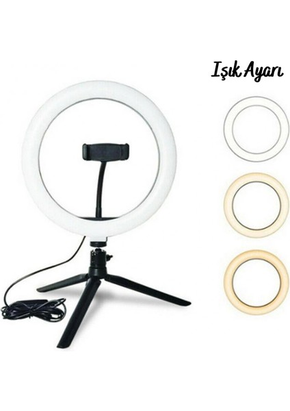8inç 20CM Youtube Instagram Tiktok Selfie Stüdyo Video Fotoğraf Ring Light Tripod LED Halka Işık (4887) fırsatları