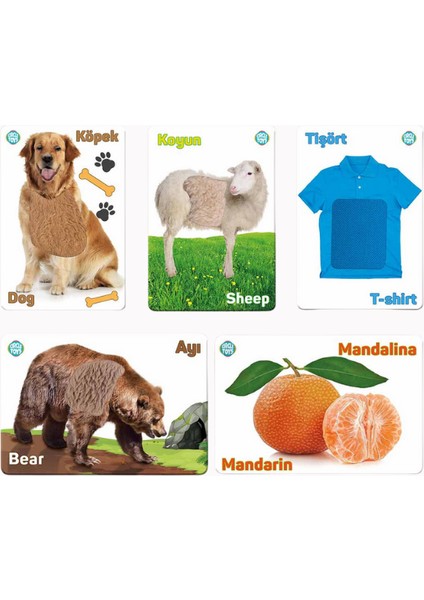 Dokun Hisset Tanı modelleri