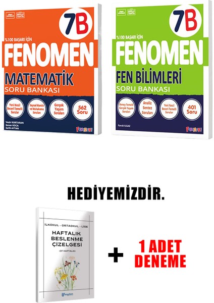 Fenomen Yayınlıcılık 7.sınıf B Grubu 2'li Set (Güncel) modelleri