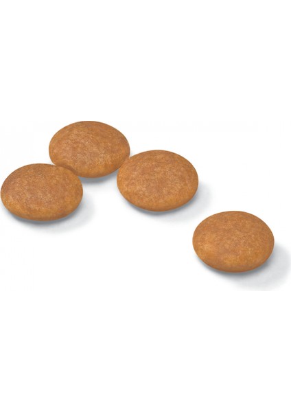 Mini Dermacomfort Kuru Köpek Maması 3kg