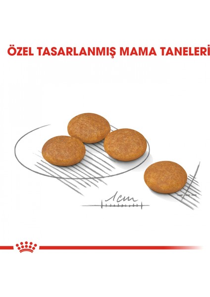 Mini Dermacomfort Kuru Köpek Maması 3kg