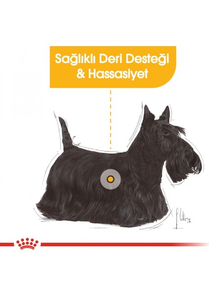Mini Dermacomfort Kuru Köpek Maması 3kg