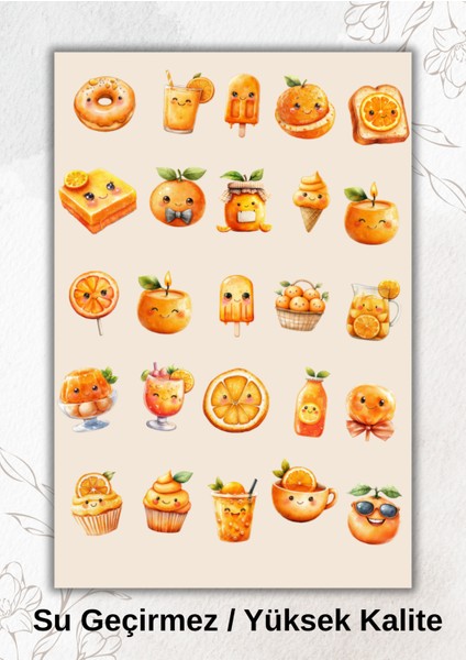 Portakal Temalı Sticker Ajanda Bullet Journal YRM042