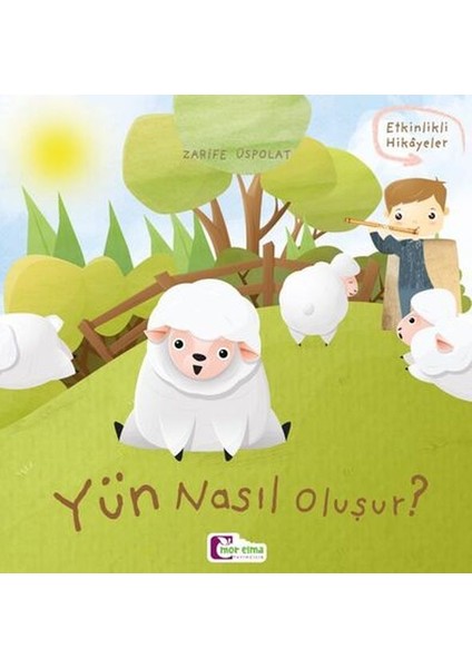 Oluşum Hikayeleri - Yün Nasıl Oluşur?