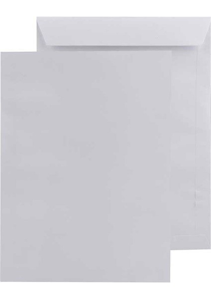 Asil Doğan (250 Li) Torba Zarf 240X320 mm 110 gr Beyaz Şilinkli