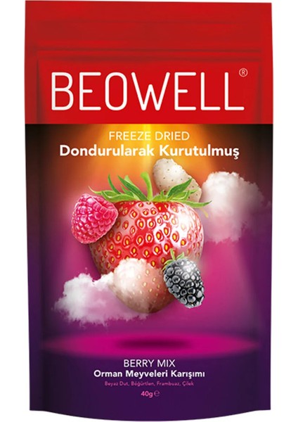 Berry Mix – Freeze Dried Dondurularak Kurutulmuş Orman Meyveleri