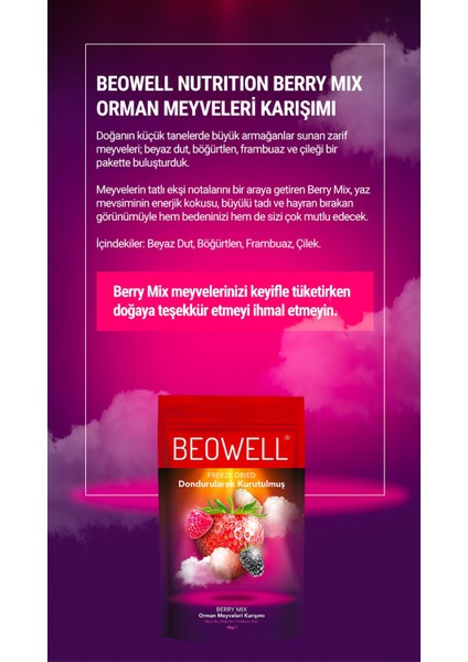 Berry Mix – Freeze Dried Dondurularak Kurutulmuş Orman Meyveleri fiyatları