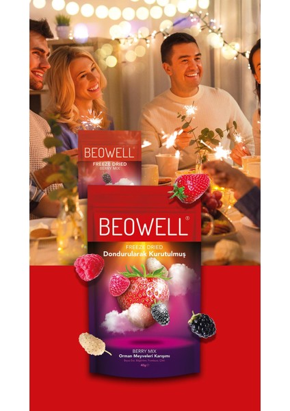 Berry Mix – Freeze Dried Dondurularak Kurutulmuş Orman Meyveleri modelleri