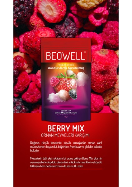 Berry Mix – Freeze Dried Dondurularak Kurutulmuş Orman Meyveleri indirimleri