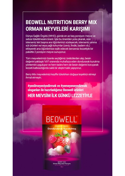 Berry Mix – Freeze Dried Dondurularak Kurutulmuş Orman Meyveleri