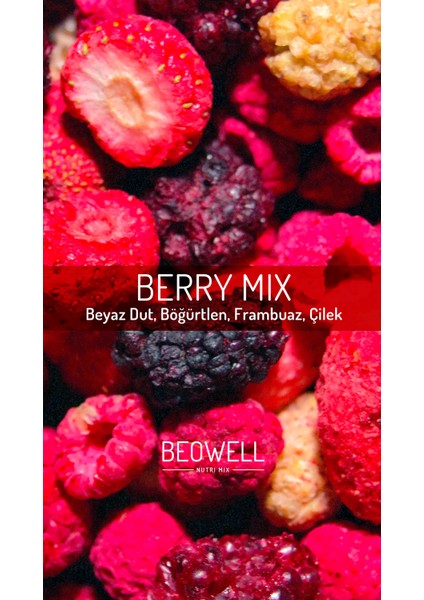 Berry Mix – Freeze Dried Dondurularak Kurutulmuş Orman Meyveleri