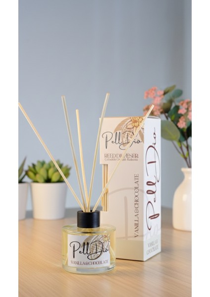 Vanilya ve Çikolata Bambu Çubuklu Ortam Ev Oda Salon Koku Kokusu ve Oda Parfümü 120 ml