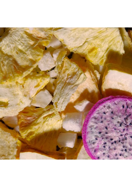 Tropıcal Mıx 6’lı Set Ananas, Kavun, Hindistan Cevizi ve Ejder Meyvesi Tropik Meyveler Karışımı fırsatları