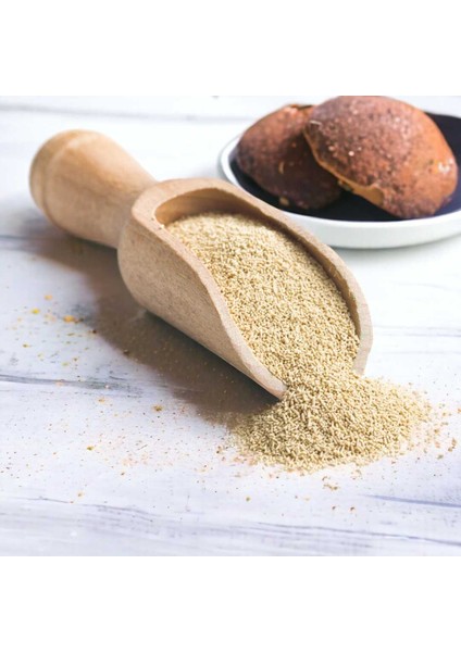 Maya (3 Ad) fiyatları