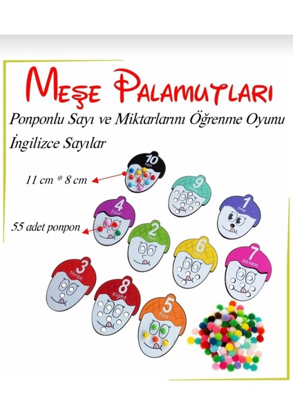 Meşe Palamudu Sayı ve Miktarlarını Öğreniyorum Ahşap Oyuncak fiyatları