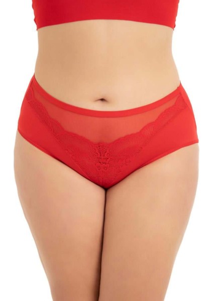 Transparan Tüllü Dantel Detaylı Beli Lastikli Büyük Beden Kadın Bikini Külot 3'lü Paket modelleri