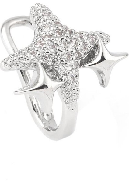 Kıkırdak Küpe Silver