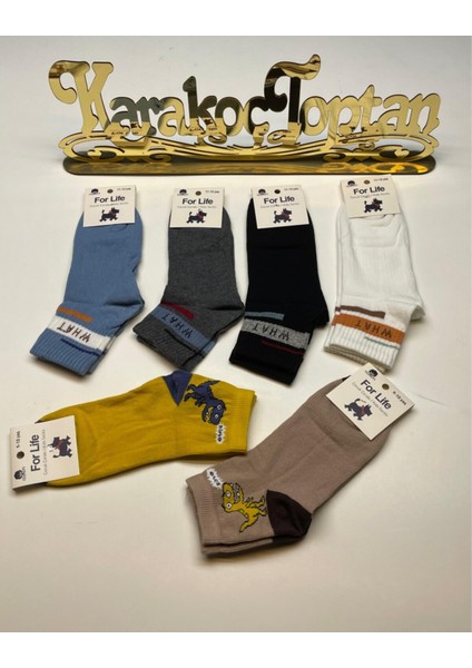 Erkek Çocuk Karikatürlü Kolej Çorap