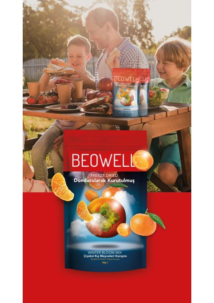 Winter Bloom Mix – Freeze Dried Dondurularak Kurutulmuş Kış Meyveleri fırsatları