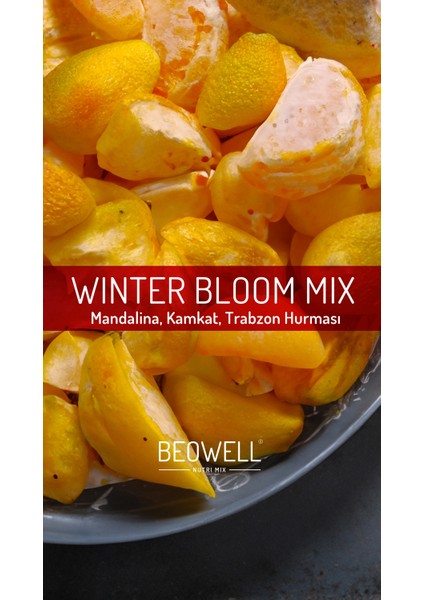 Winter Bloom Mix – Freeze Dried Dondurularak Kurutulmuş Kış Meyveleri