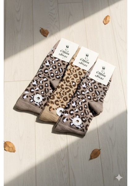 Bayan Pamuk Çorap, Mevsimlik, Asorti 6'lı Paket (36-40)