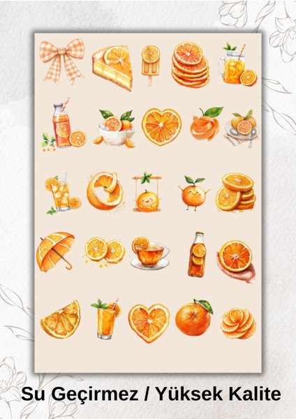 Portakal Temalı Sticker Ajanda Bullet Journal YRM043
