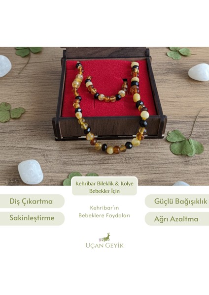Kutulu Kehribar Bileklik ve Kolye Seti - Doğal Şifa ve Zarafet Bir Arada