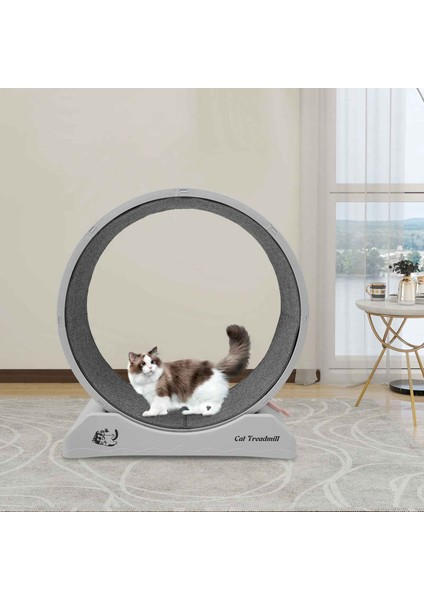 Kedi Egzersiz Çarkı – Sessiz Dayanıklı Koşu Bandı, Kedi Tekerleği ve Küçük Köpek Fitness Çarkı