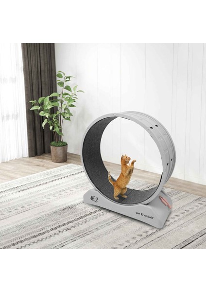 Kedi Egzersiz Çarkı – Sessiz Dayanıklı Koşu Bandı, Kedi Tekerleği ve Küçük Köpek Fitness Çarkı fiyatları