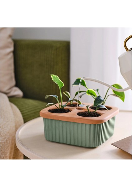 Daksjus Saksı Terakotta Yeşil 22 x 22 cm fiyatları