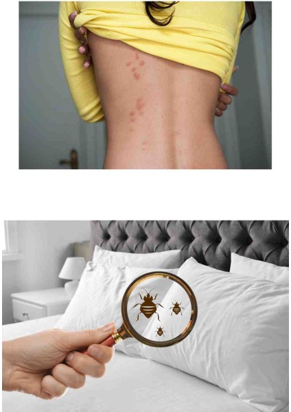 Tahtakurusu Ilaçlama Seti Tetracon Cs 50ML/AKETHRIN 50ML/2LT Ilaçlama Pomp. fiyatları