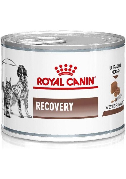 Royal Canin Recovery Kedi Köpek Konservesi 6 x 195 gr