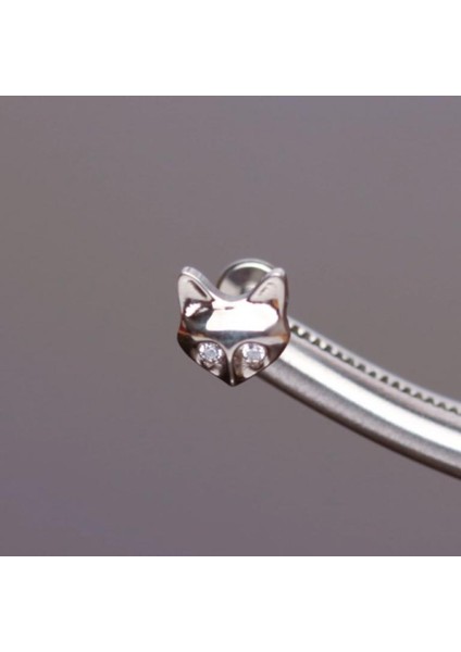 Yüksek Kalite G23 Titanium Tilki Zirkon Titanyum 6x1.2mm Labret Piercing