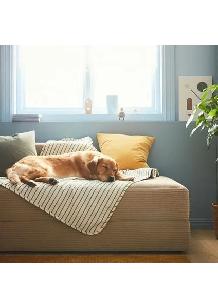 Utsadd Evcil Hayvan Battaniyesi Yeşil 100 x 150 cm fırsatları