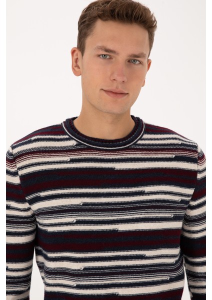 Erkek Mürdüm Kazak /triko 50308332-VR074 fiyatları