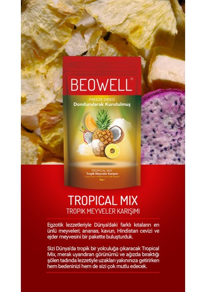 Tropical Mix – Freeze Dried Dondurularak Kurutulmuş Tropik Meyveler Karışımı fiyatları