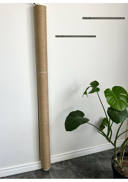 Tırmalama Seti 5 Parça Tahta Duvar Seti Oyun /kedi/köpek/oyuncak/