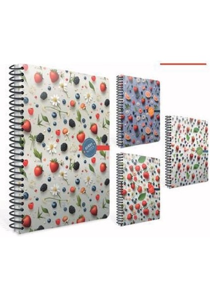 Gıpta Berry Notes Spiralli Sert Kap Def 17X24 120 Çizg.-36-Std
