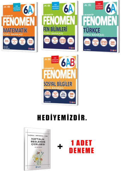 Fenomen Yayınlıcılık 6.sınıf A Grubu 4'li Set (Güncel)
