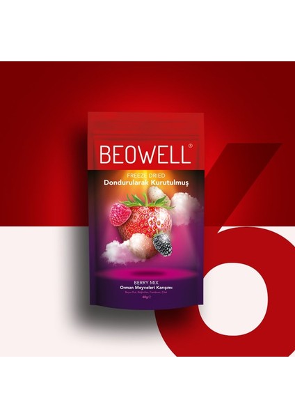 Berry Mix 6’lı Set Beyaz Dut, Böğürtlen, Frambuaz, Çilek Orman Meyveleri Karışımı