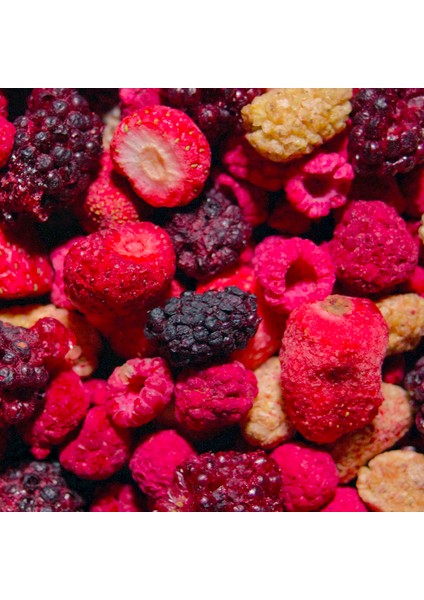 Berry Mix 6’lı Set Beyaz Dut, Böğürtlen, Frambuaz, Çilek Orman Meyveleri Karışımı indirimleri