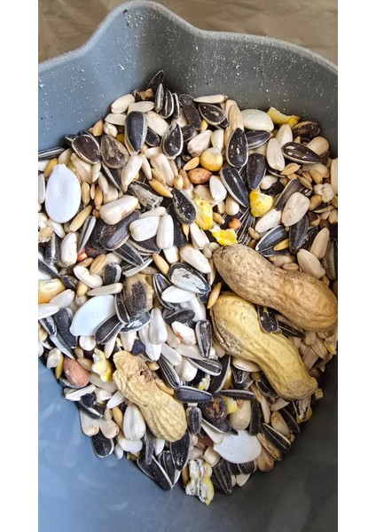 Prestıge Parrot Jako Kakadu Amazon Papağanı Yemi 1kg