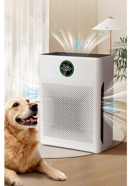 Akıllı Hava Temizleme Cihazı Hepa Karbon Hava Filtresi Duman-Hayvan-Polen-Toz Kötü Koku Giderici
