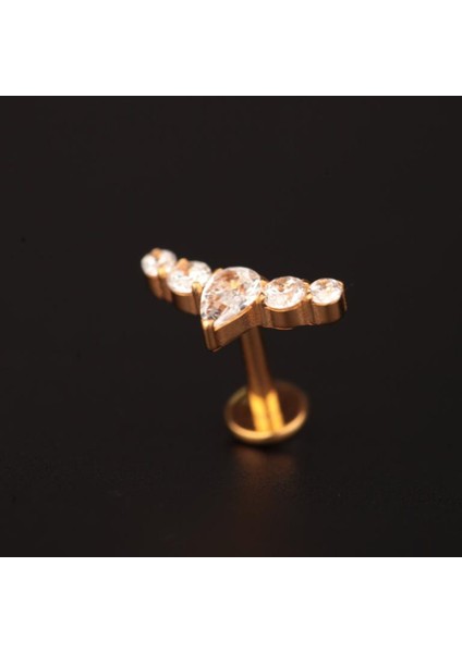Yüksek Kalite G23 Titanium Taç Zirkon Altın Titanyum 6x1.2mm Labret Piercing