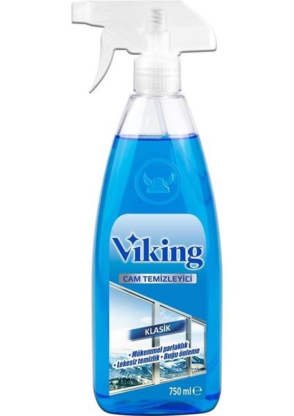 Cam Temizleyici Klasik 750 ml 2 Adet