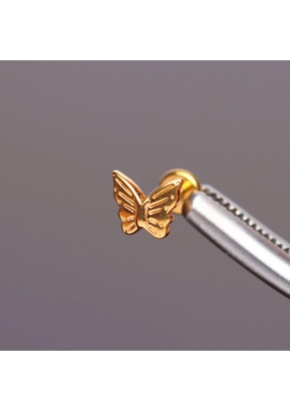 Yüksek Kalite G23 Titanium Kelebek Altın Titanyum 7x1.2mm Labret Piercing