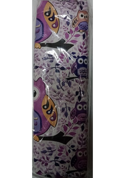 Baykuşlu Tek Göz Kalemlik