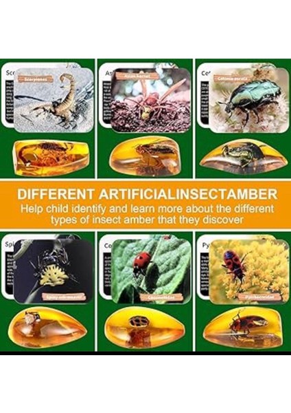 Insect Archaeology Fosil Kazı Seti – Böcek Fosili Kazı Oyunu – Keşif ve Arkeoloji Oyuncağı fiyatları