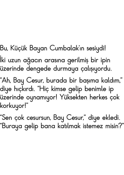 Bay Cesur fiyatları